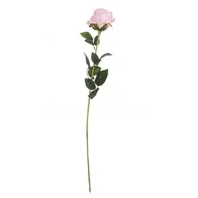 Luxury Pink Rose