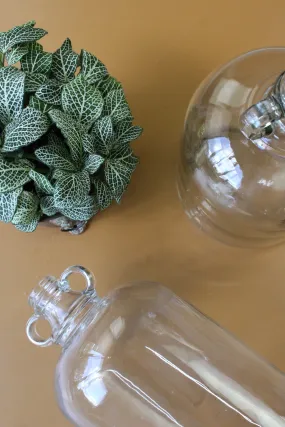 Pair Glass Demi Johns