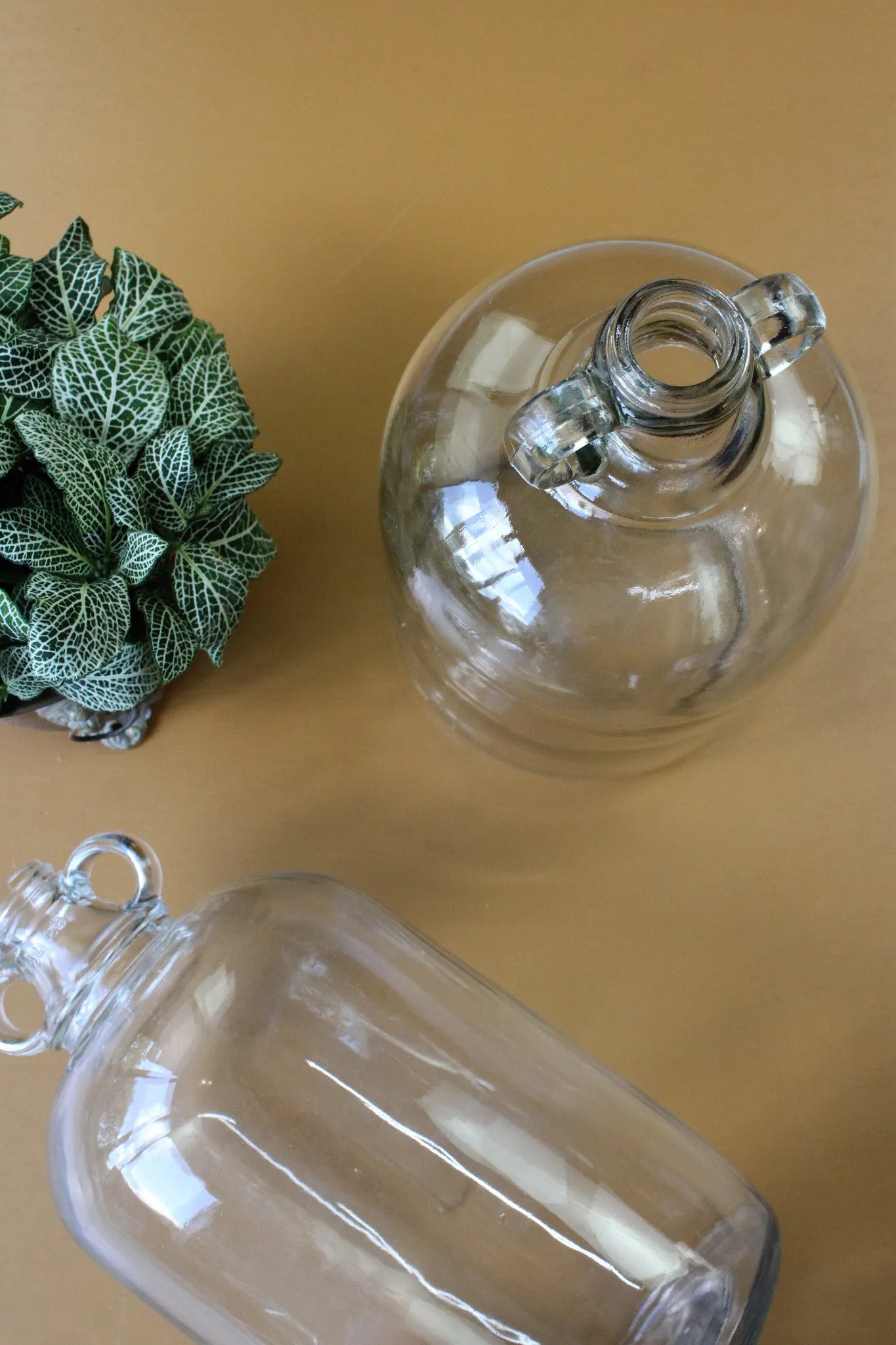 Pair Glass Demi Johns