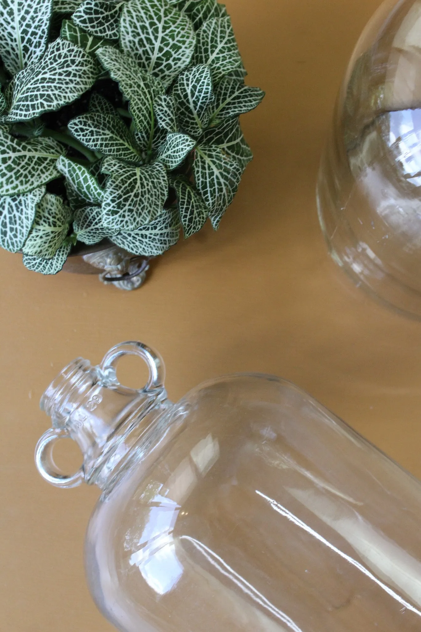 Pair Glass Demi Johns