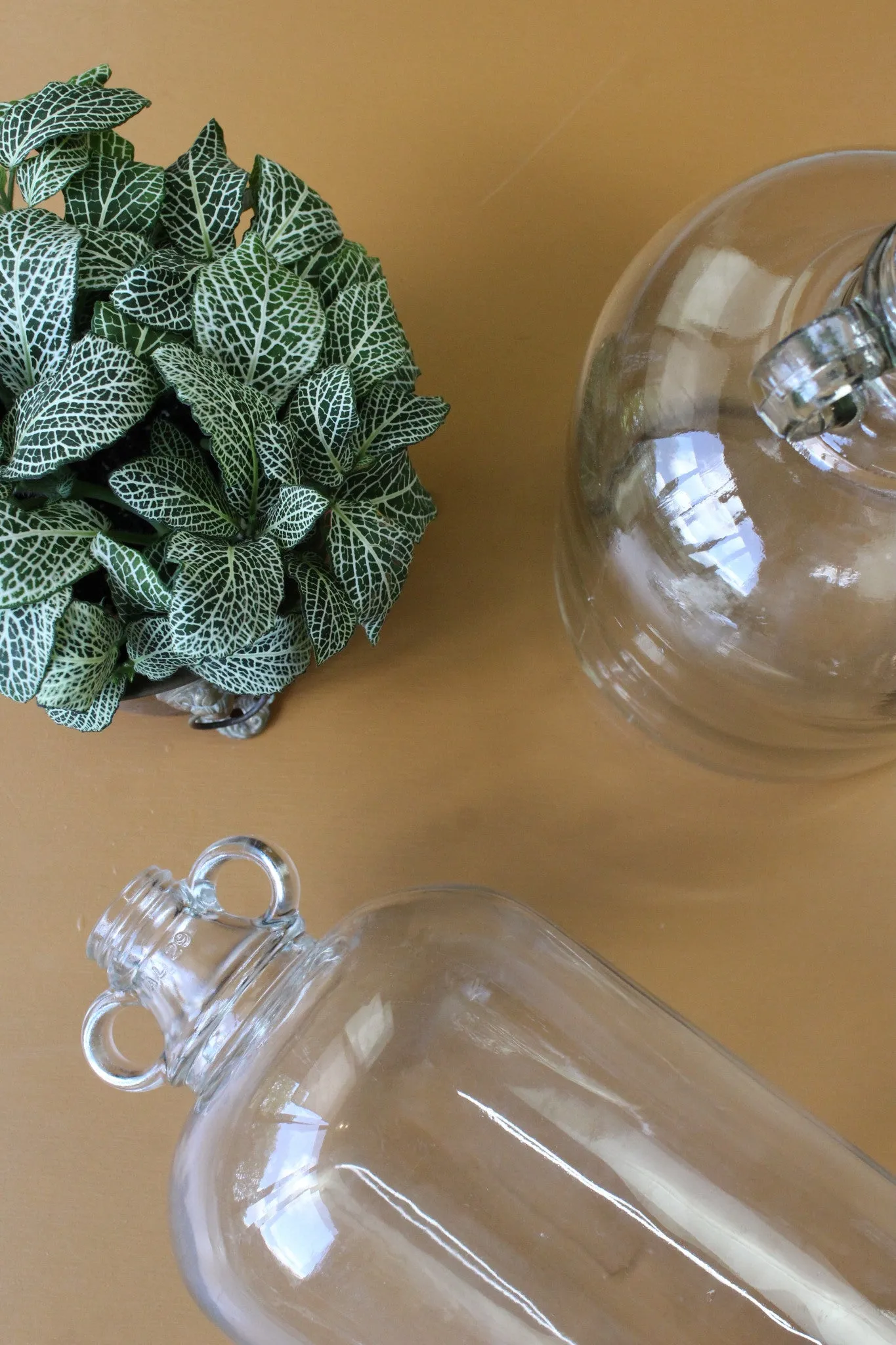 Pair Glass Demi Johns