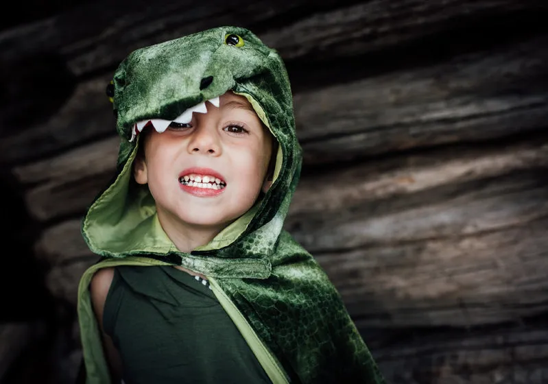 T-Rex Hooded Cape by Great Pretender Size 4-5 Dinosaur toy 3yrs 